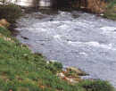 The River Ivel